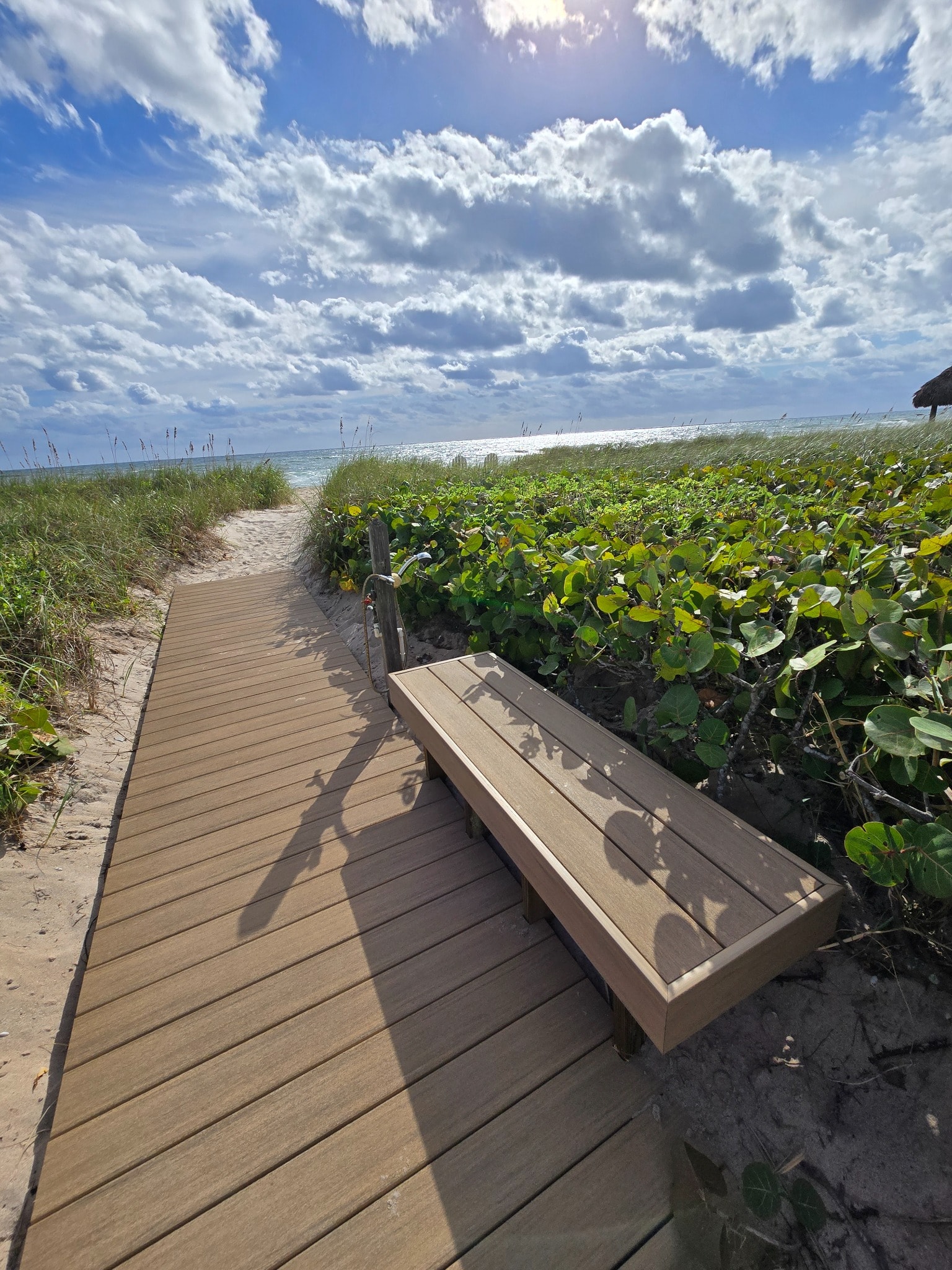Weathered Teak — boardwalk bench ocean view. ✅ OWNER: correct photo, too zoomed. FIXED: objectFit→contain.